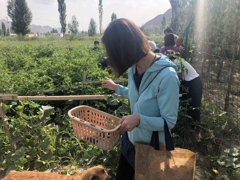 KaoShan Tent Zhangye Bagian luar foto